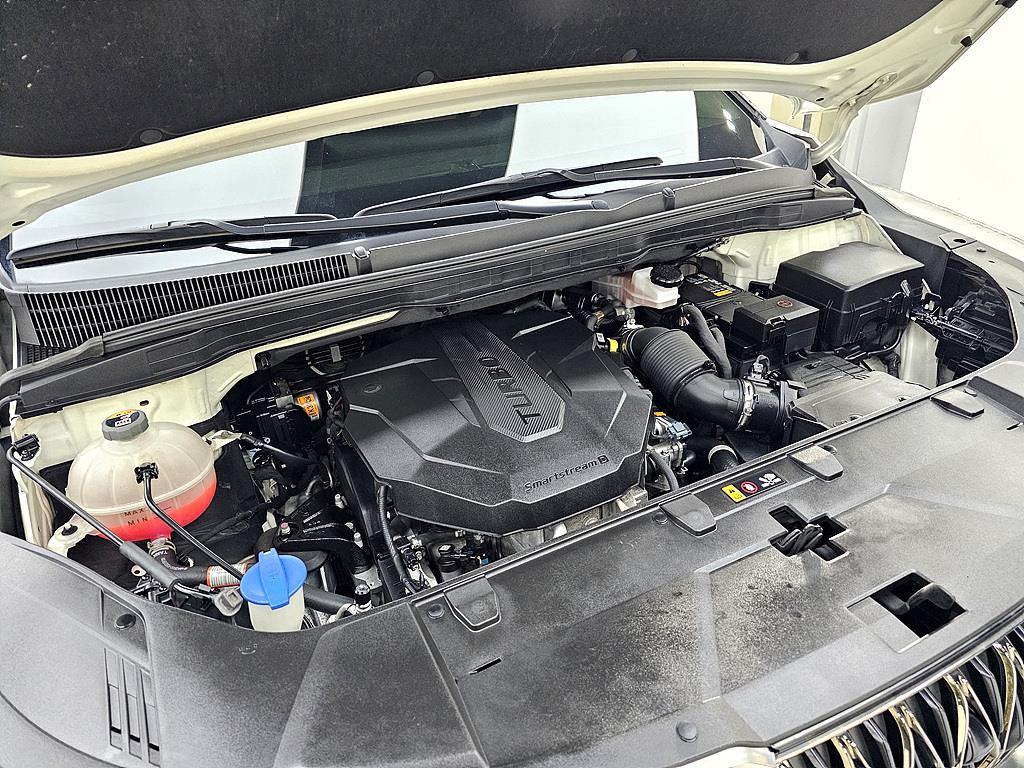 KIA Carnival - Vista 6