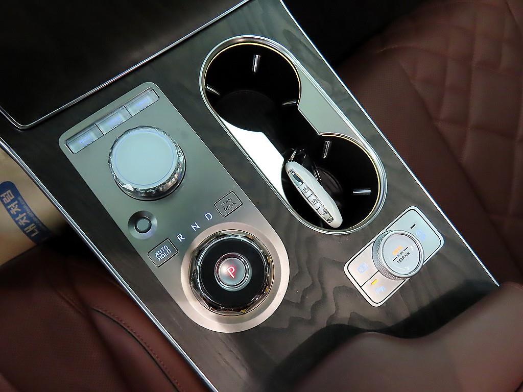 Genesis GV80 - Vista 10