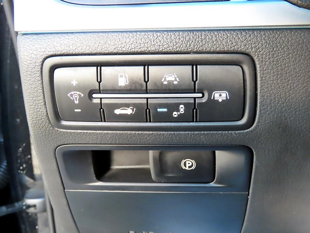 Genesis G80 - Vista 12