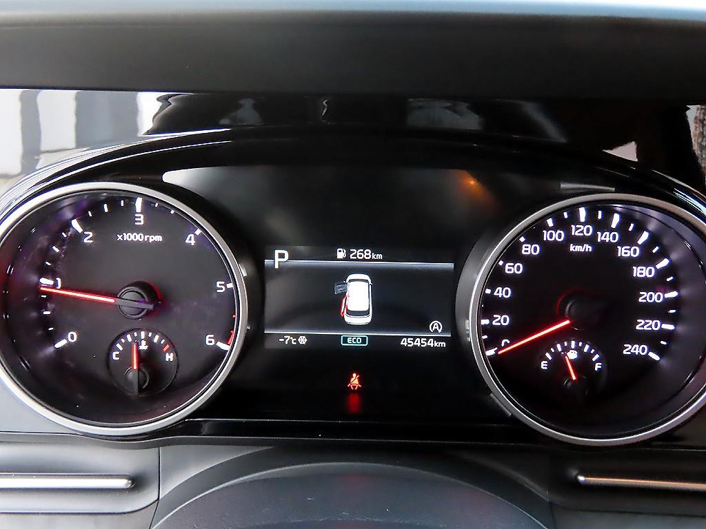 KIA Carnival - Vista 10