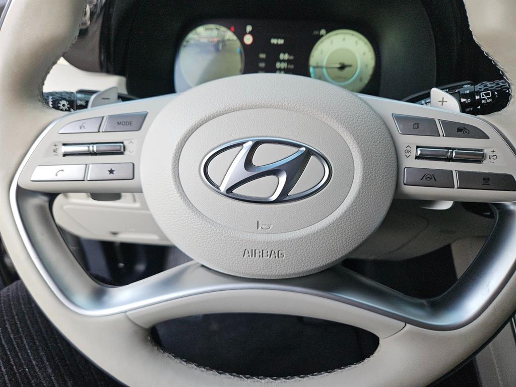 HYUNDAI Palisade - Vista 12