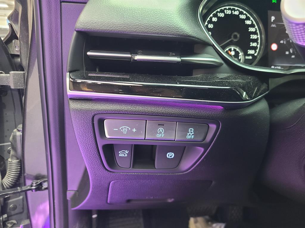 Genesis G80 - Vista 11