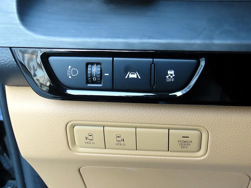 KIA Carnival - Vista 12