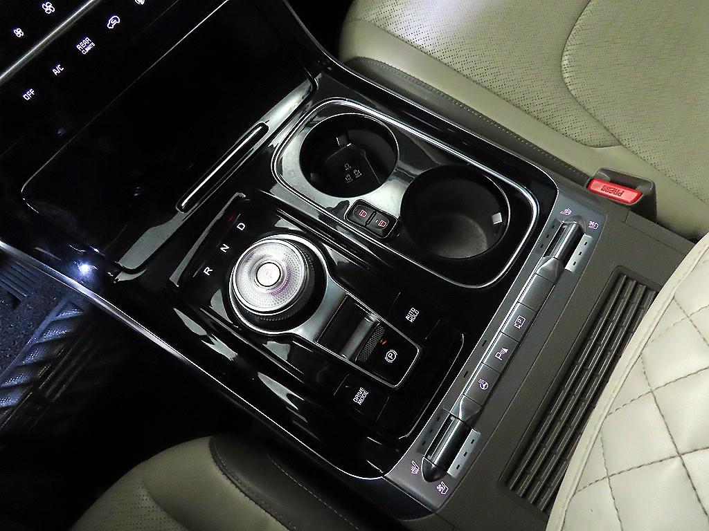 KIA Carnival - Vista 12