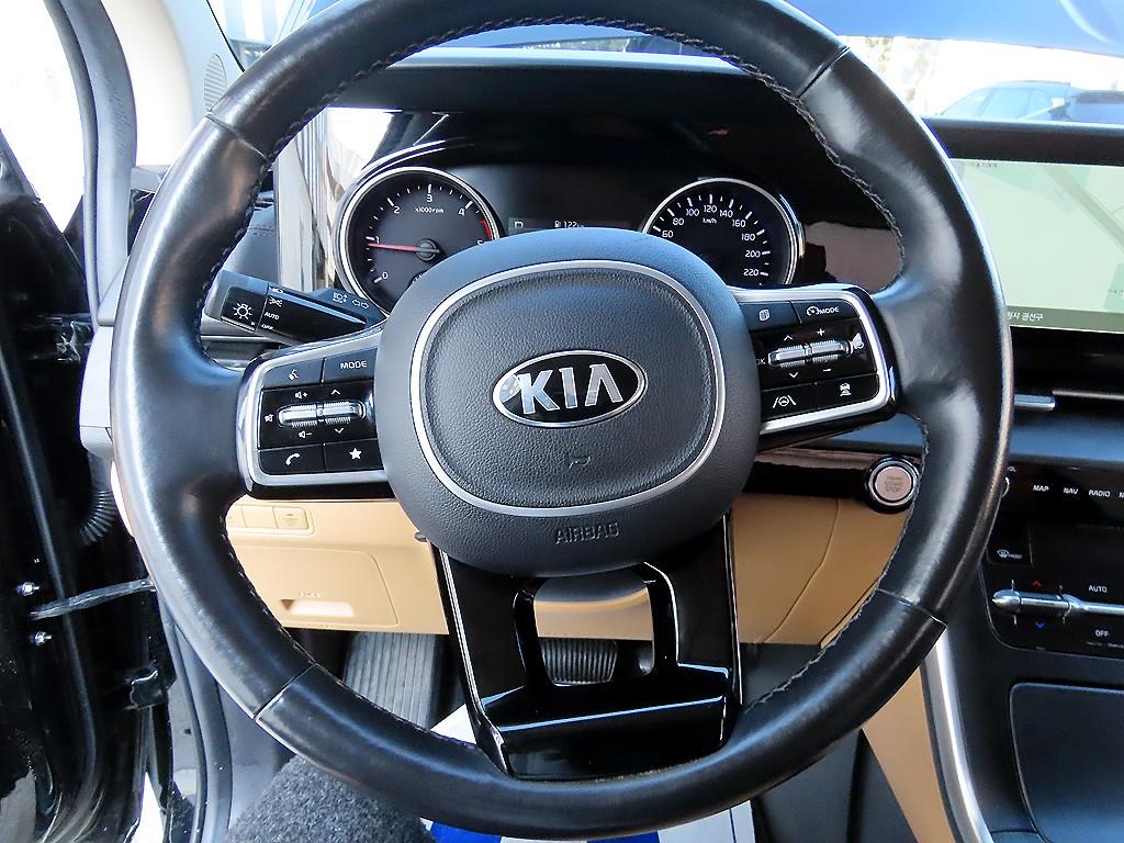 KIA Carnival - Vista 8