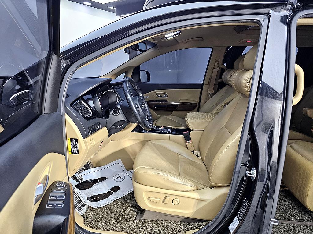 KIA Carnival - Vista 8