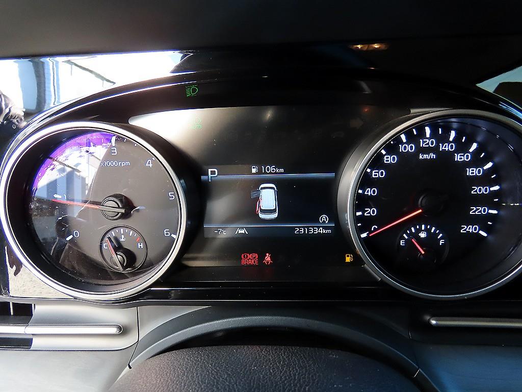 KIA Carnival - Vista 10