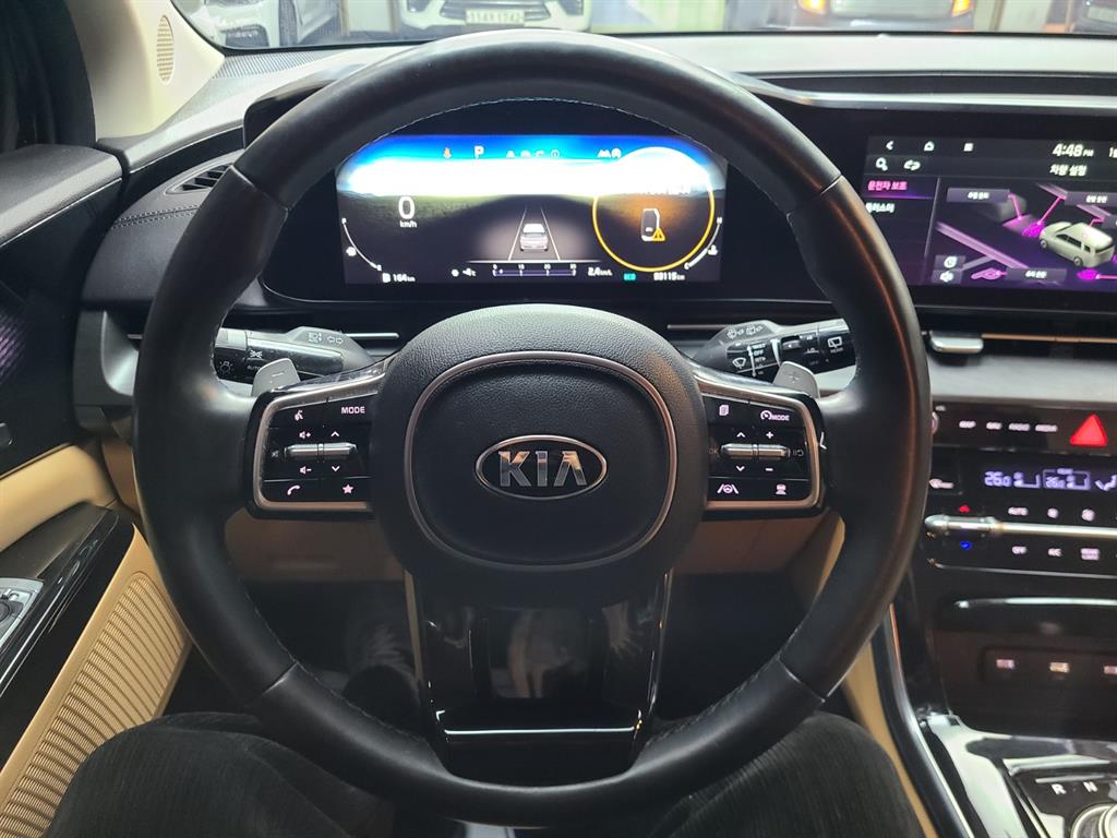 KIA Carnival - Vista 6