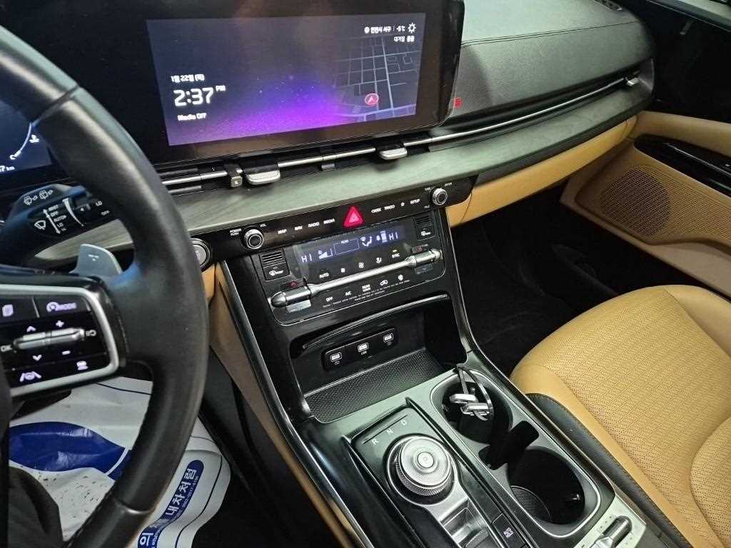 KIA Carnival - Vista 10