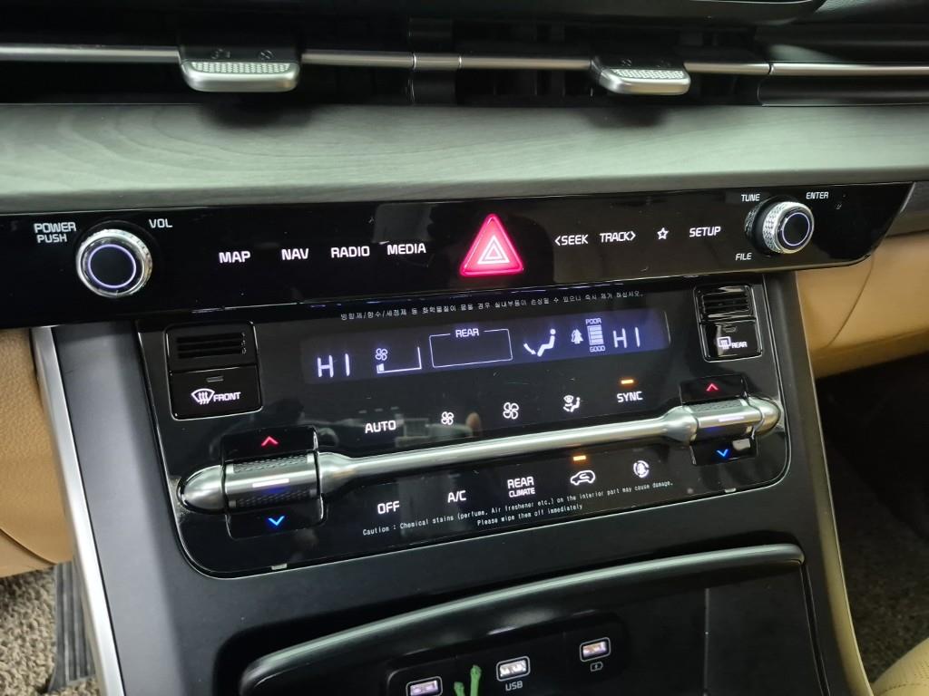 KIA Carnival - Vista 10