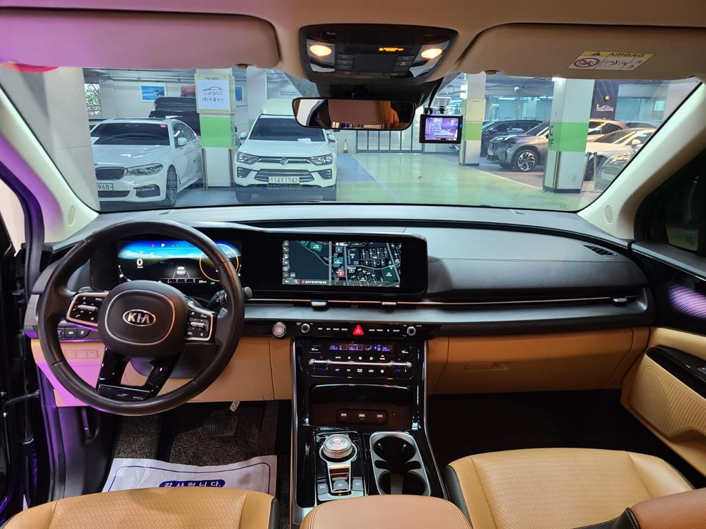 KIA Carnival - Vista 8