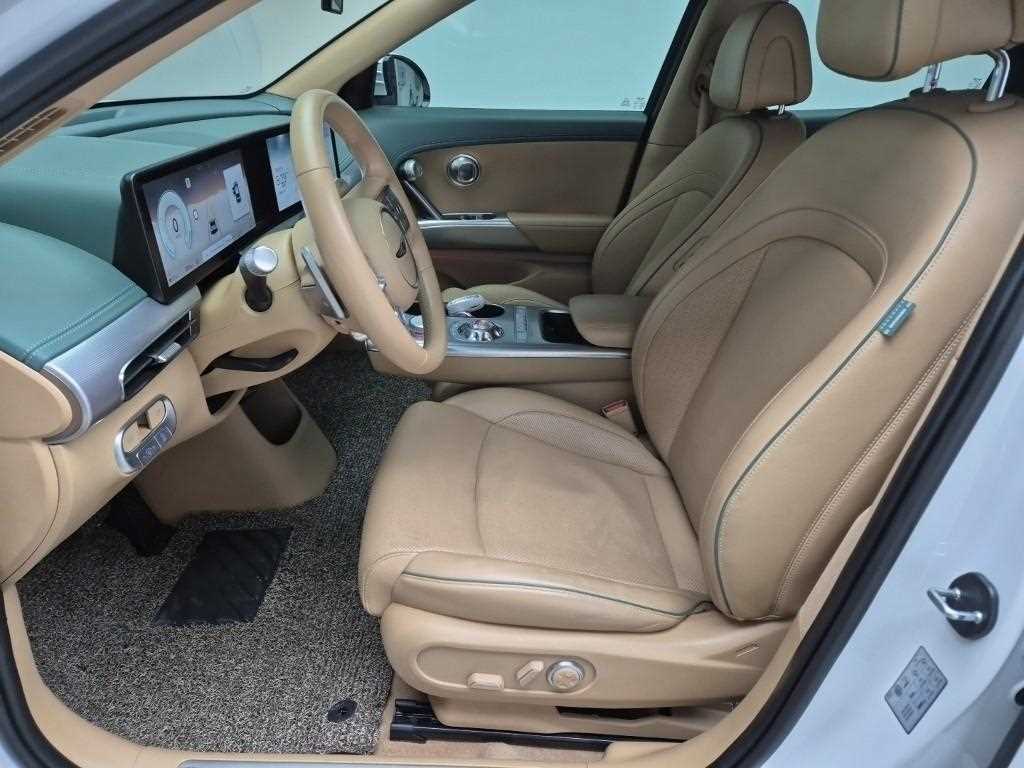 Genesis GV60 - Vista 11