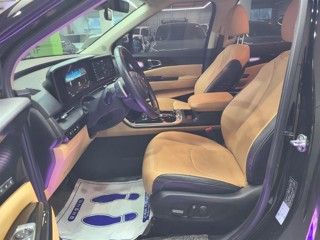 KIA Carnival - Vista 10