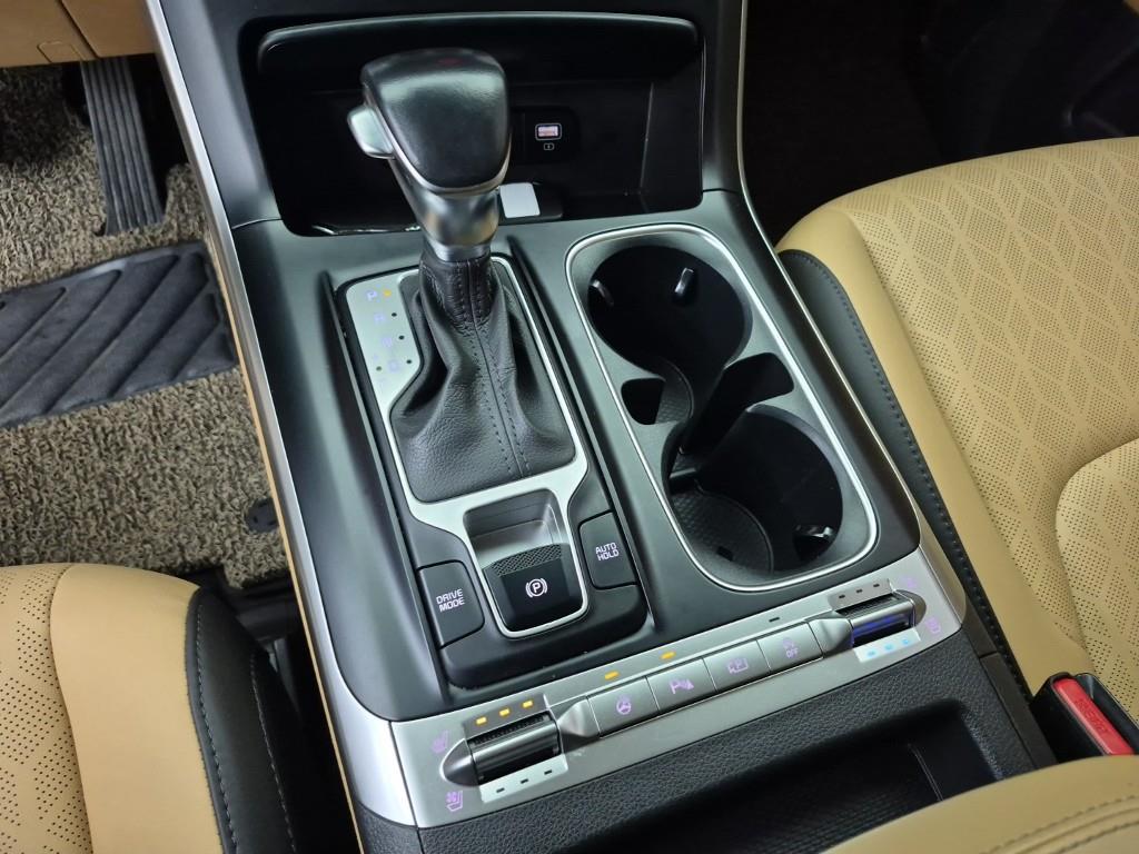 KIA Carnival - Vista 8