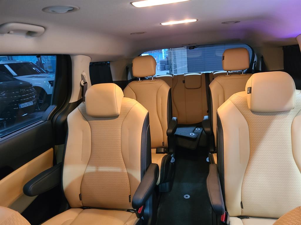 KIA Carnival - Vista 12