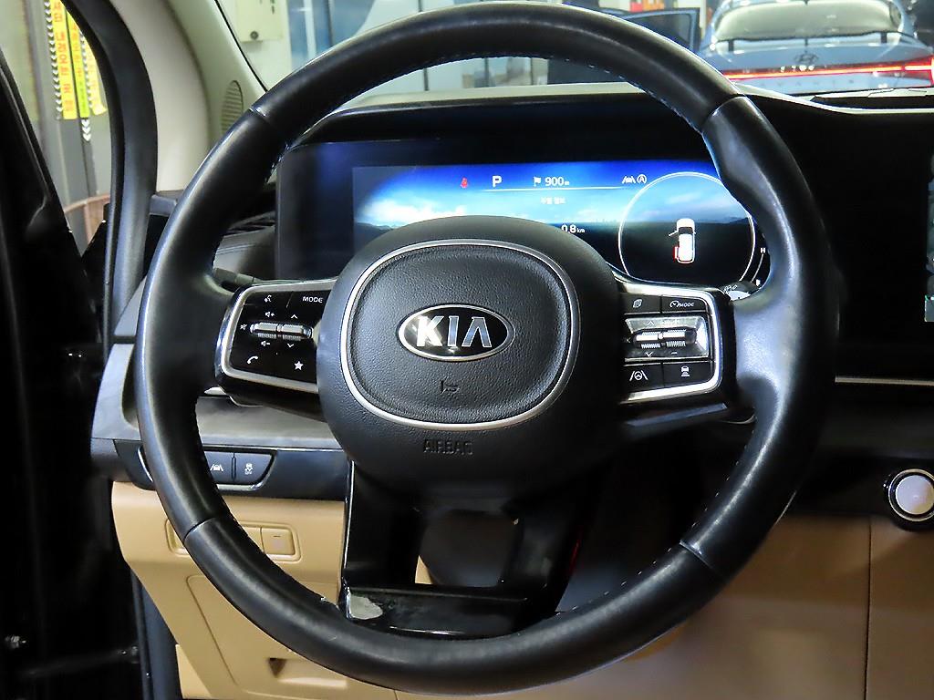 KIA Carnival - Vista 8