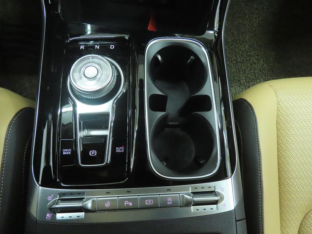 KIA Carnival - Vista 12