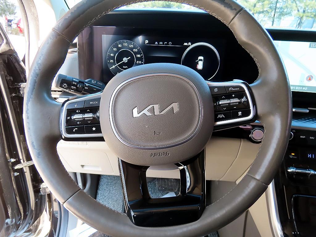 KIA Carnival - Vista 8