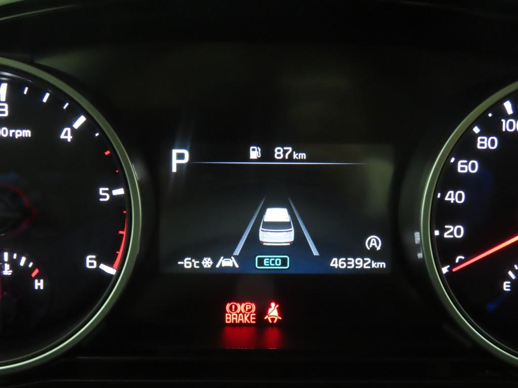 KIA Carnival - Vista 8