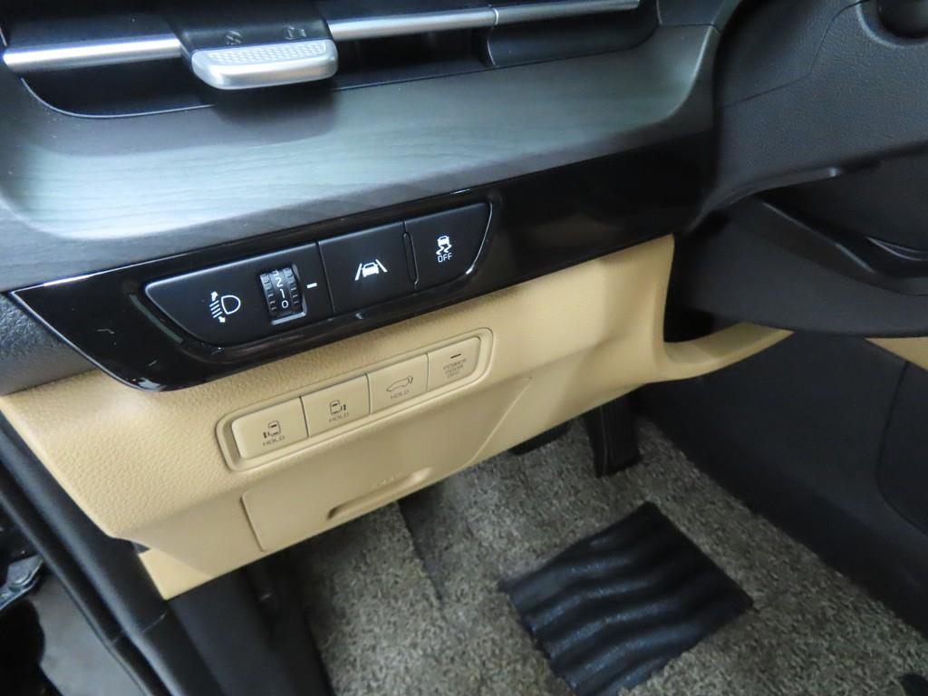 KIA Carnival - Vista 10