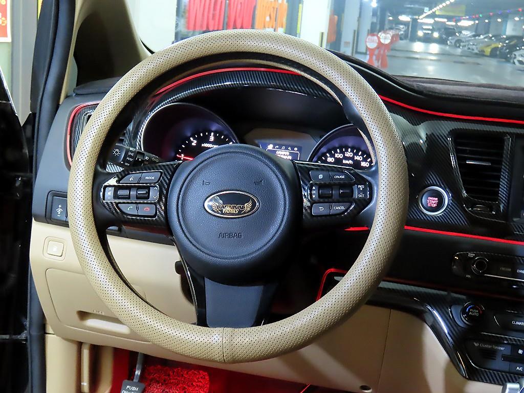 KIA Carnival - Vista 8