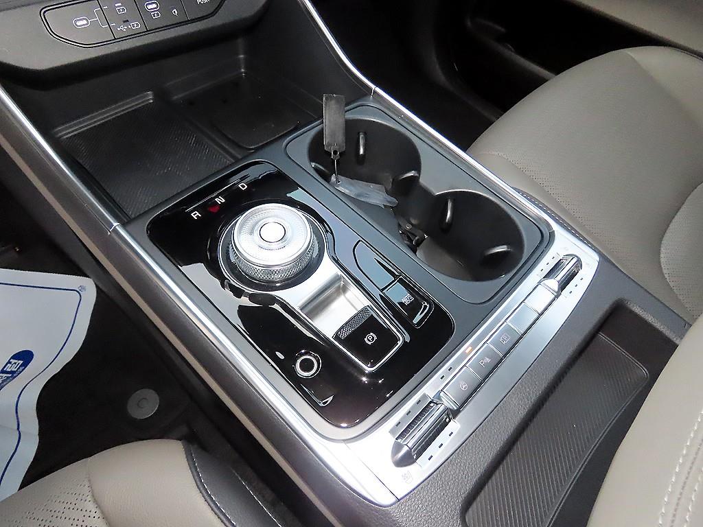 KIA Carnival - Vista 12