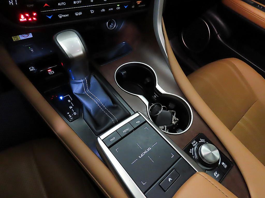 Lexus RX - Vista 12