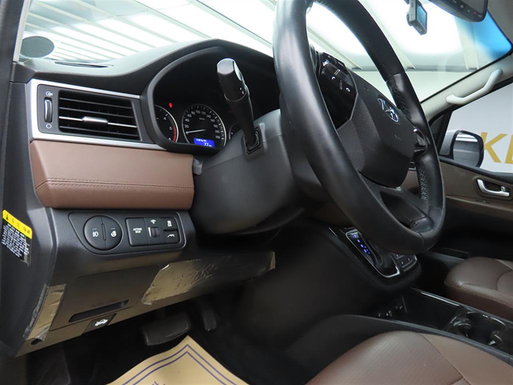 HYUNDAI Starex - Vista 12