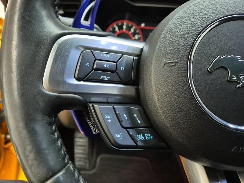 Ford Mustang - Vista 10