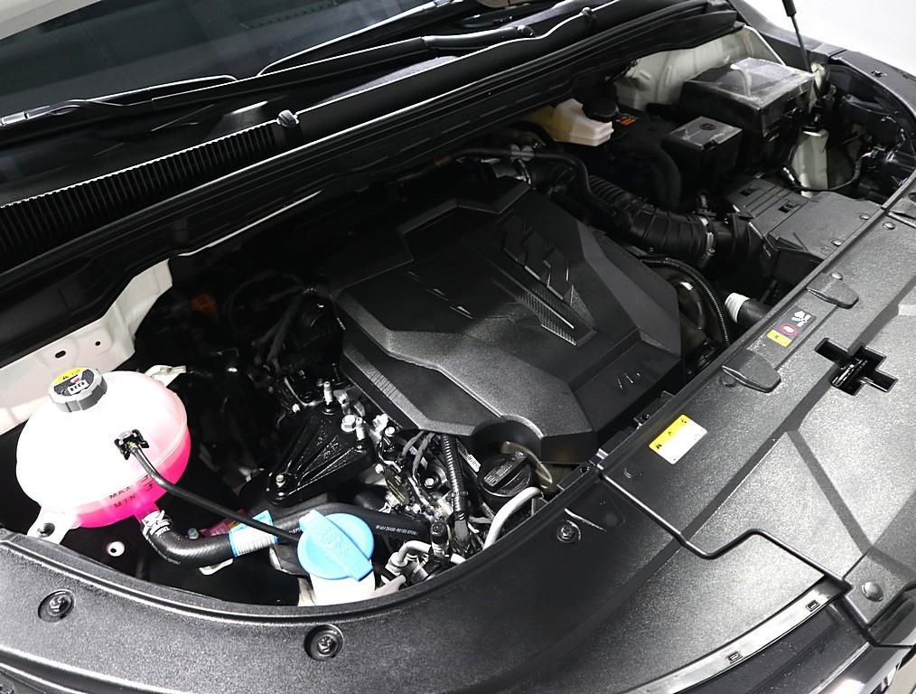 KIA Carnival - Vista 6