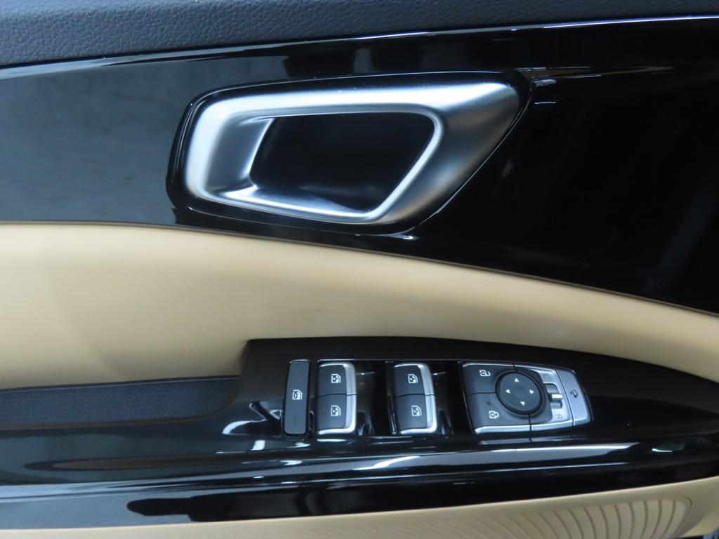 KIA Carnival - Vista 9