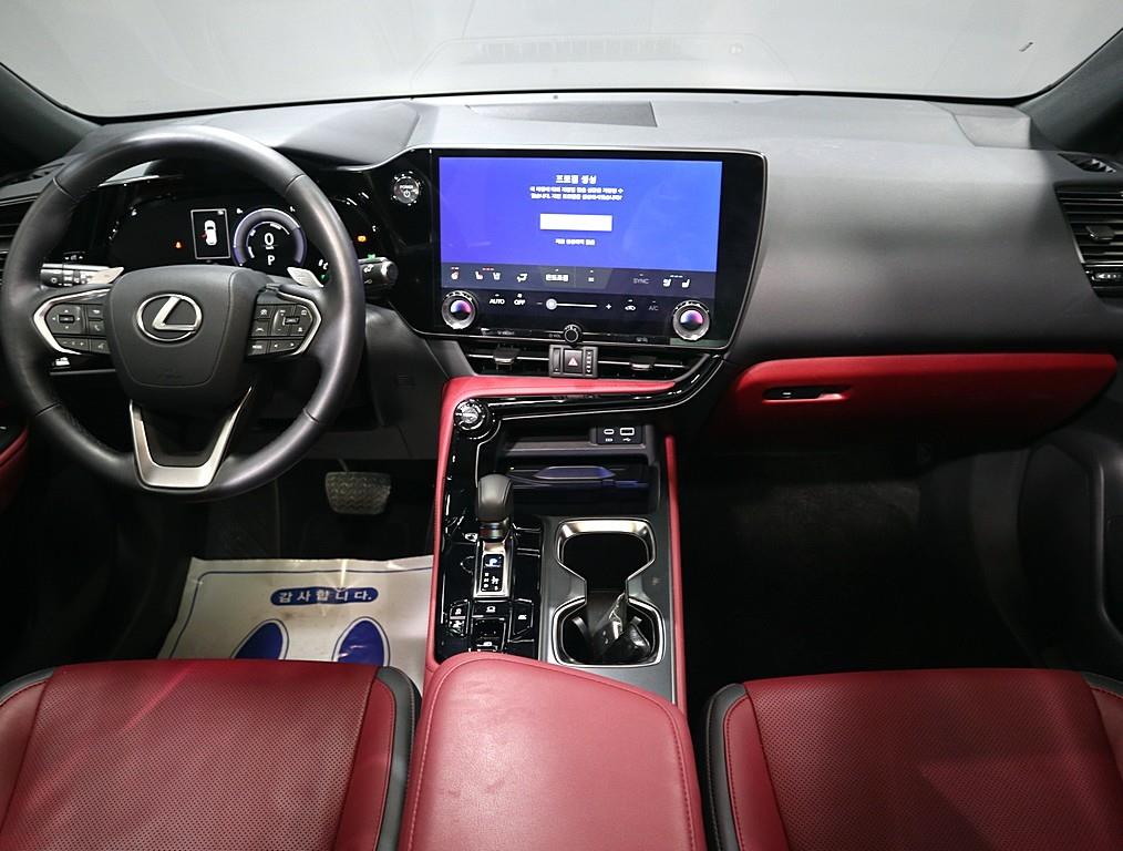 Lexus NX - Vista 5