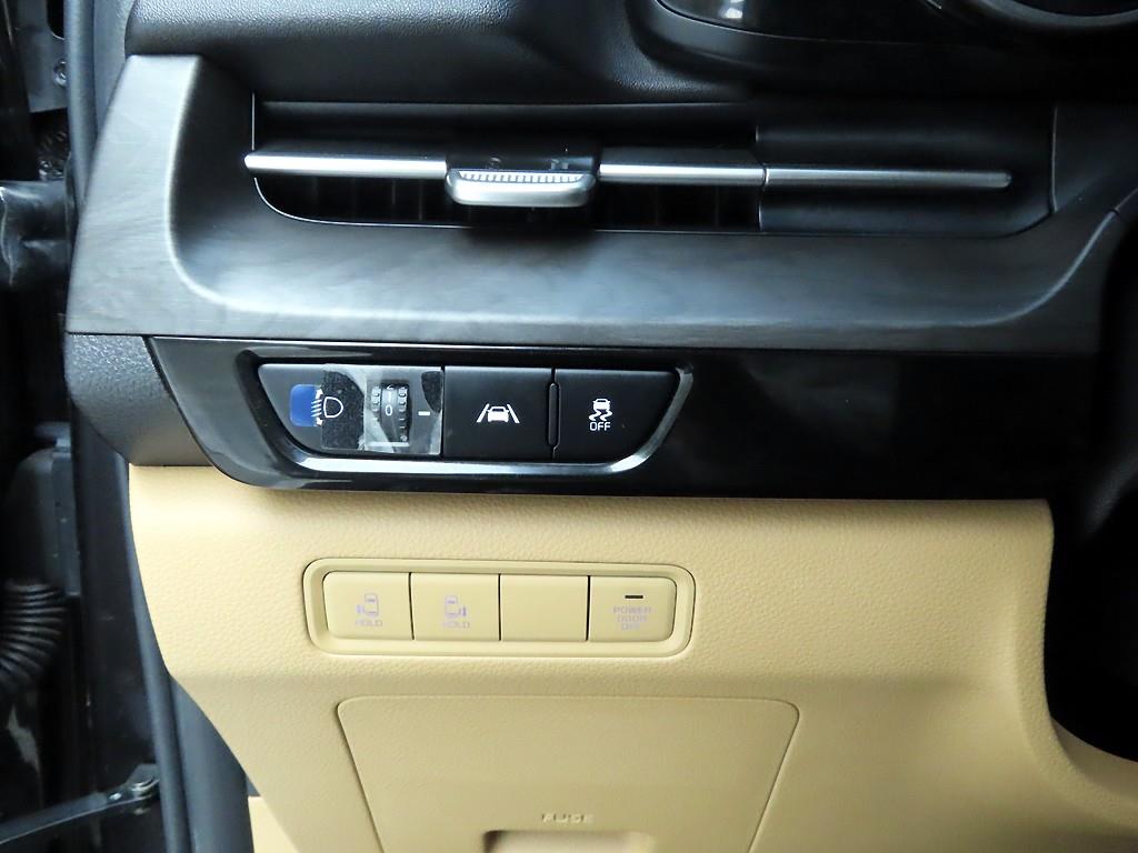 KIA Carnival - Vista 12