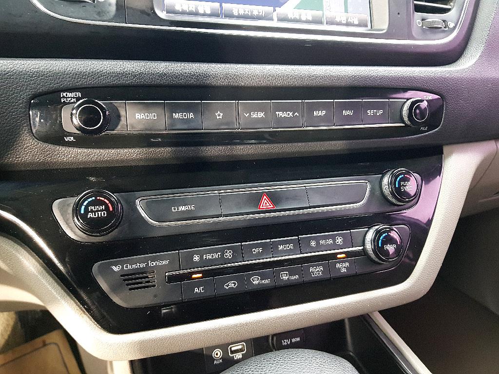 KIA Carnival - Vista 12