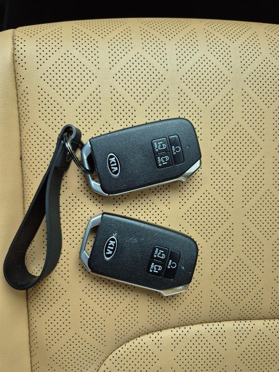 KIA Carnival - Vista 5