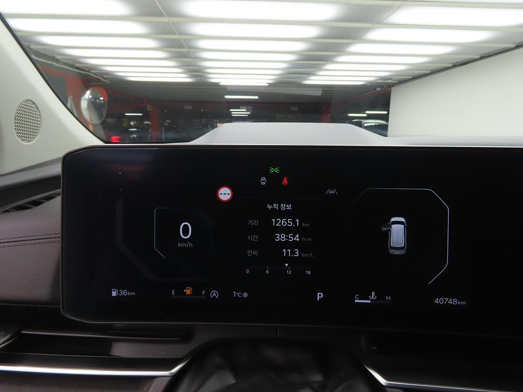 KIA Carnival - Vista 9