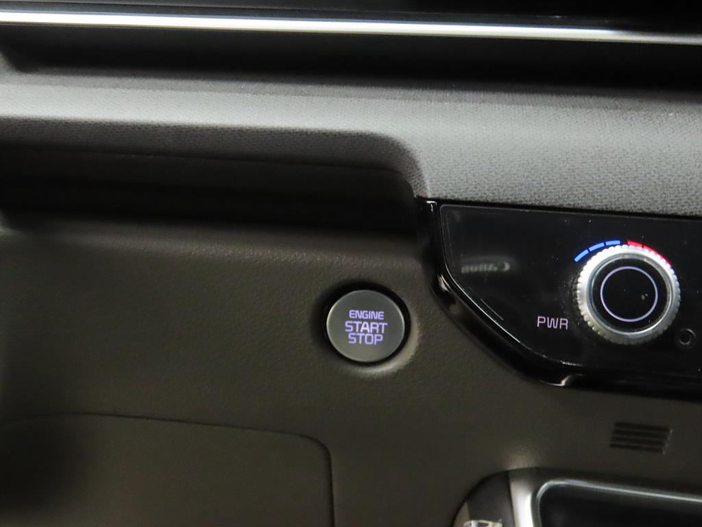 KIA Carnival - Vista 12