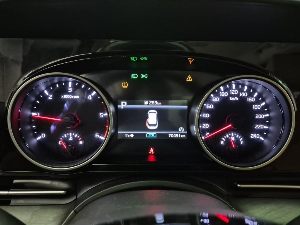 KIA Carnival - Vista 7