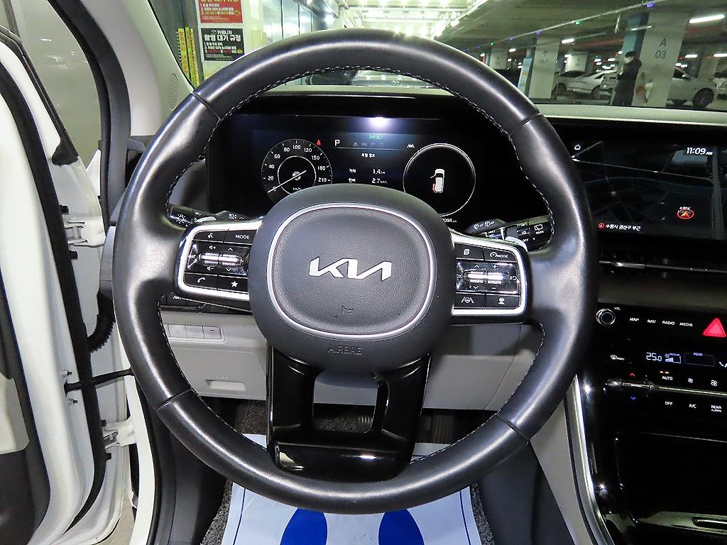 KIA Carnival - Vista 8