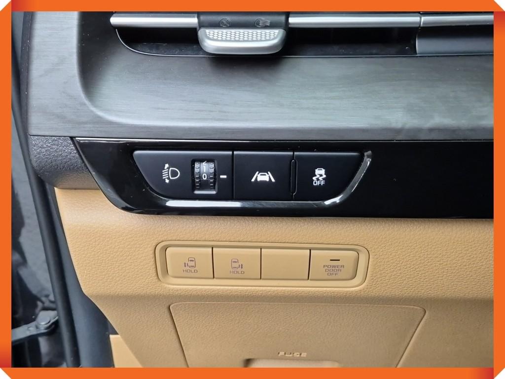 KIA Carnival - Vista 12