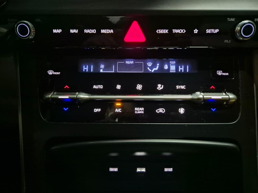 KIA Carnival - Vista 10