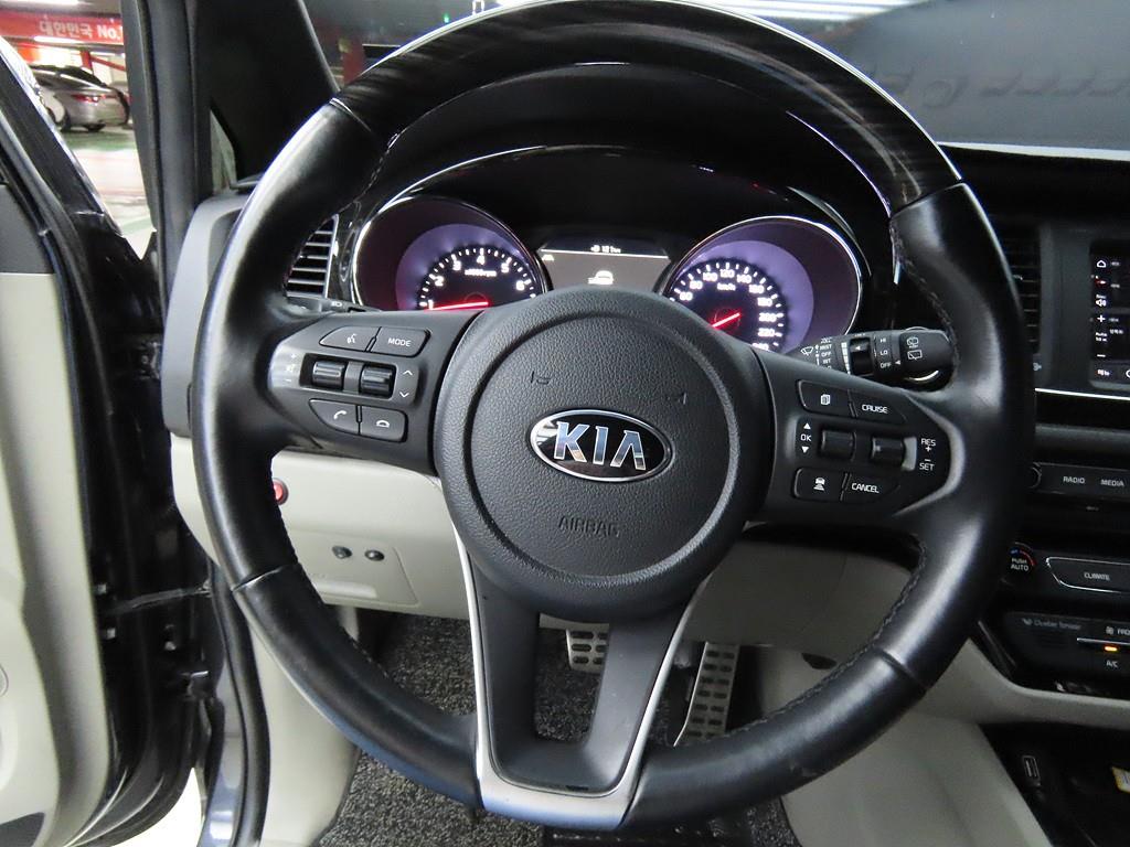 KIA Carnival - Vista 8