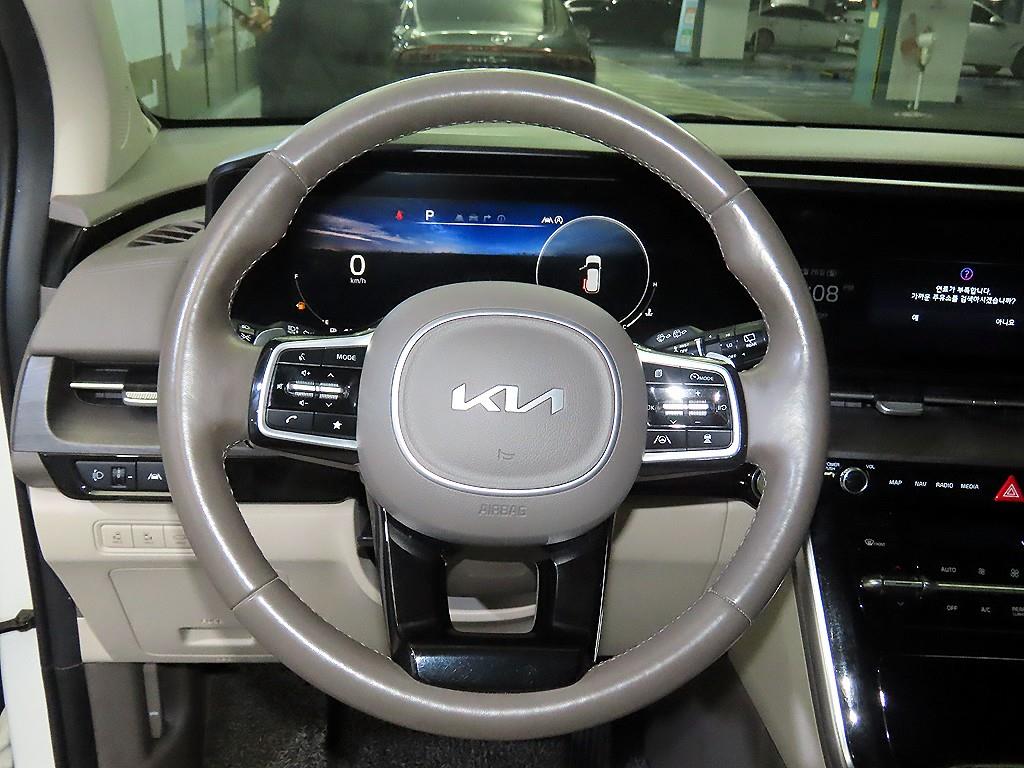KIA Carnival - Vista 8