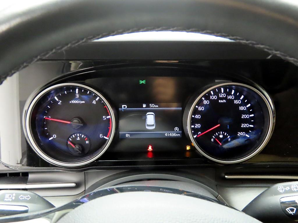 KIA Carnival - Vista 6