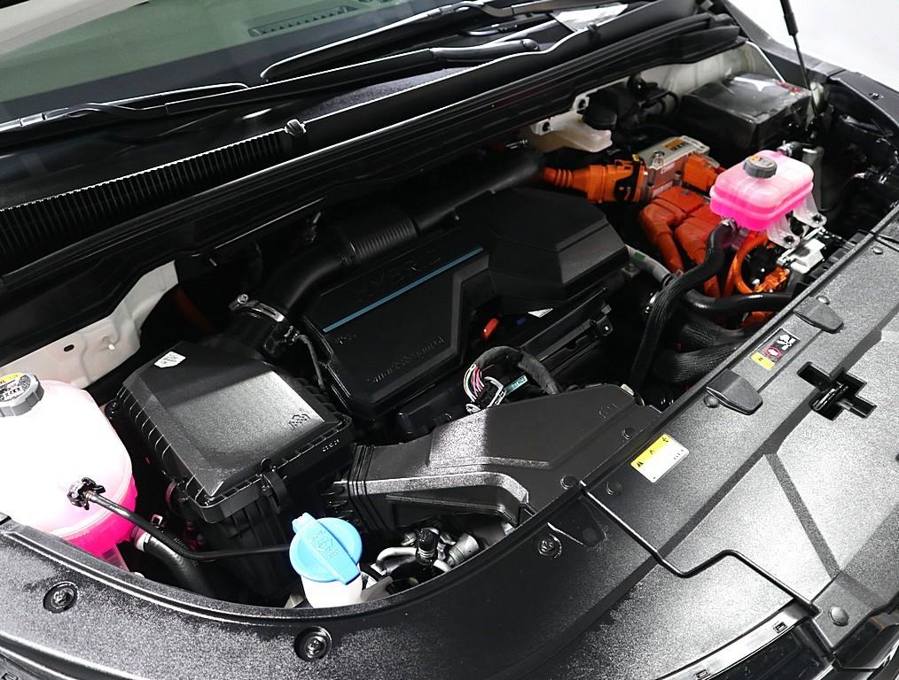 KIA Carnival - Vista 6