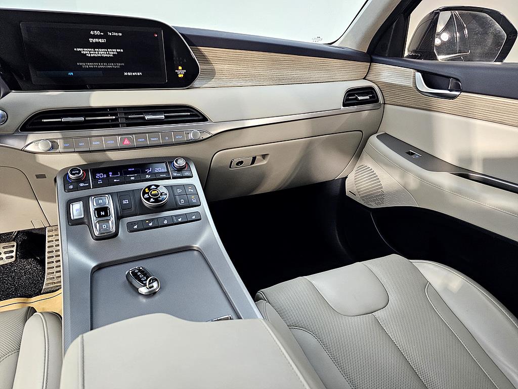 HYUNDAI Palisade - Vista 10