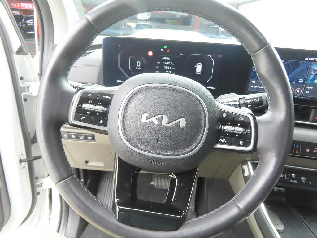 KIA Carnival - Vista 8