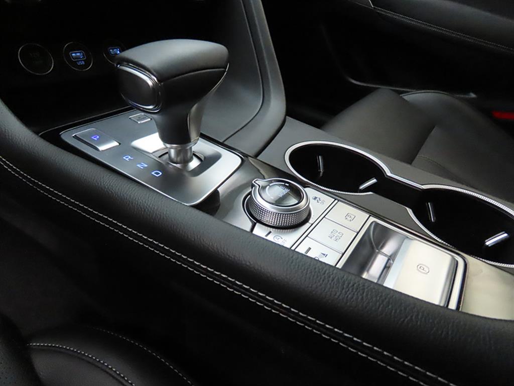 Genesis G70 - Vista 9