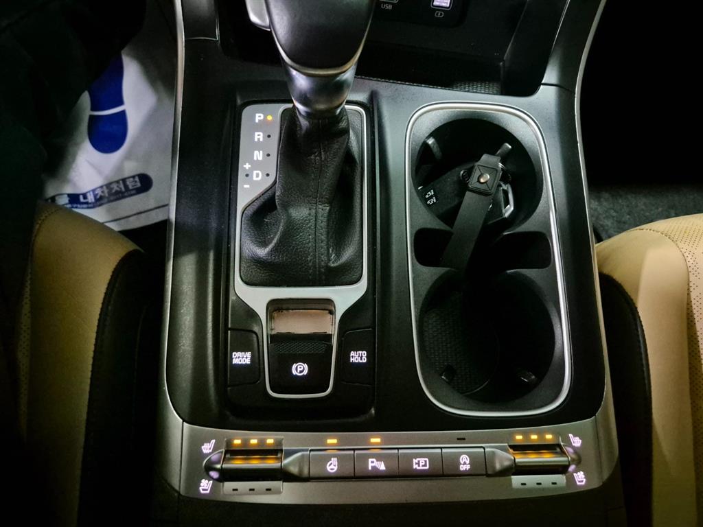 KIA Carnival - Vista 9