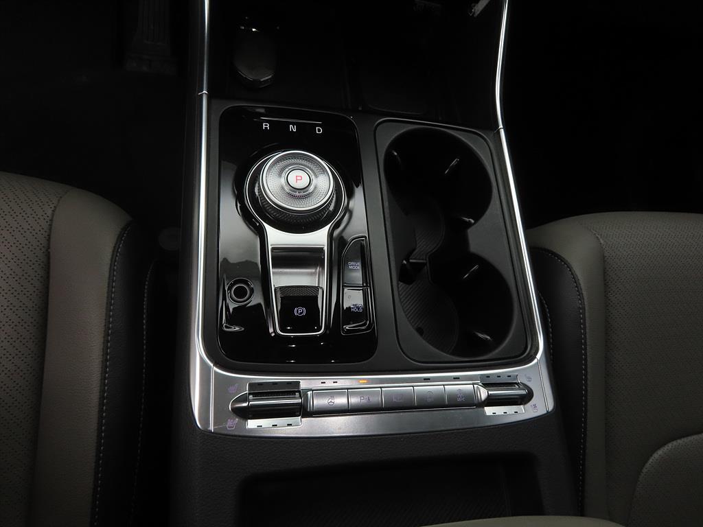 KIA Carnival - Vista 11